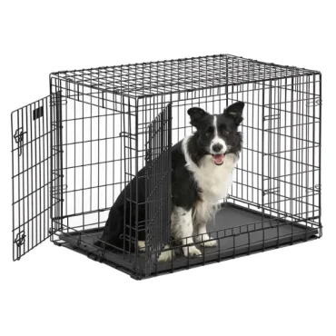 Best-5-Dog-Kennels-of-2026-6