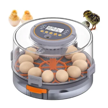 EggCrest-5