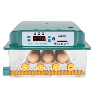 EggCrest-6