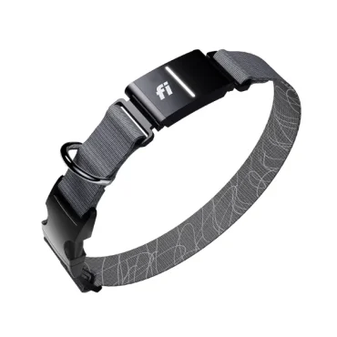 GPS-Dog-Trackers-6