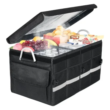 Trunk-Organizers-5